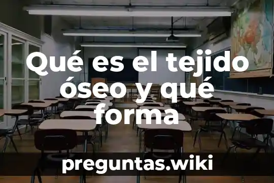 Qué es el tejido óseo y qué forma