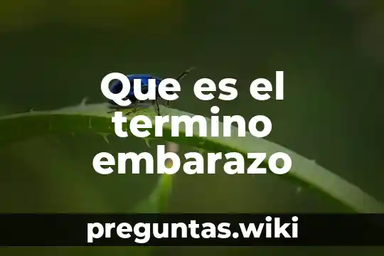Que es el termino embarazo
