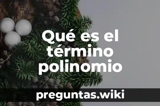 Qué es el término polinomio