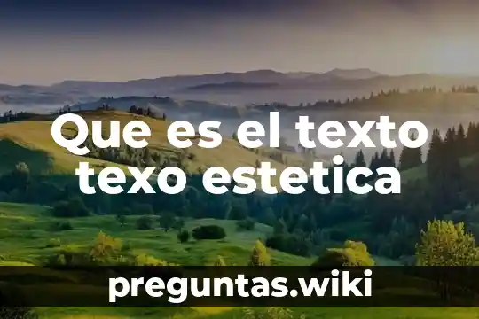 Que es el texto texo estetica
