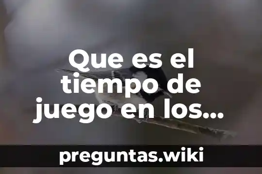 Que es el tiempo de juego en los cuentos