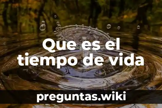 Que es el tiempo de vida