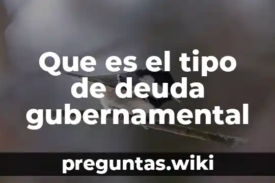 Que es el tipo de deuda gubernamental