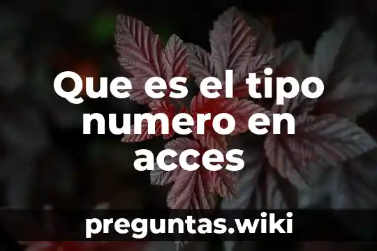 Que es el tipo numero en acces