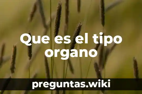 Que es el tipo organo