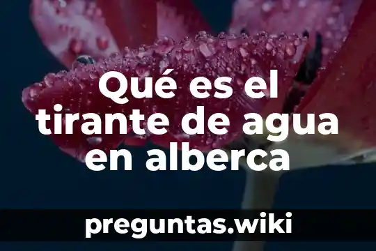 Qué es el tirante de agua en alberca