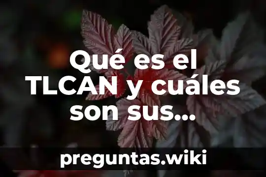 Qué es el TLCAN y cuáles son sus objetivos actuales