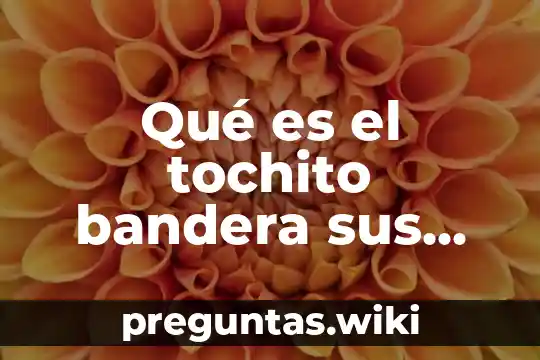 Qué es el tochito bandera sus materiales