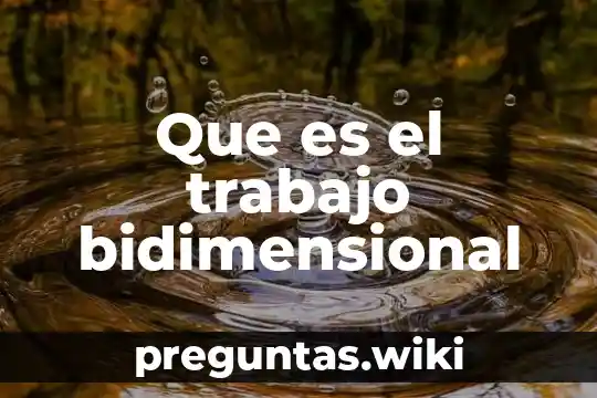 Que es el trabajo bidimensional