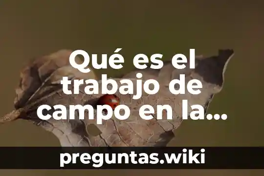 Qué es el trabajo de campo en la investigación