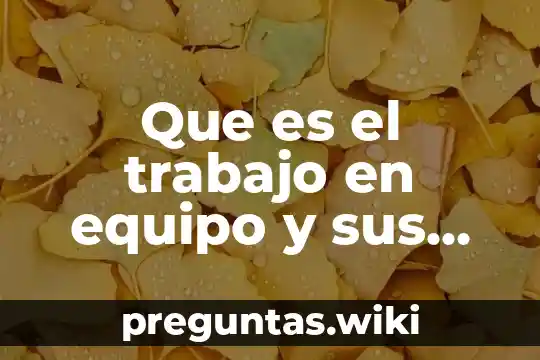 Que es el trabajo en equipo y sus caracteristicas