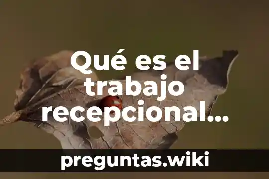 Qué es el trabajo recepcional dentro de investigación
