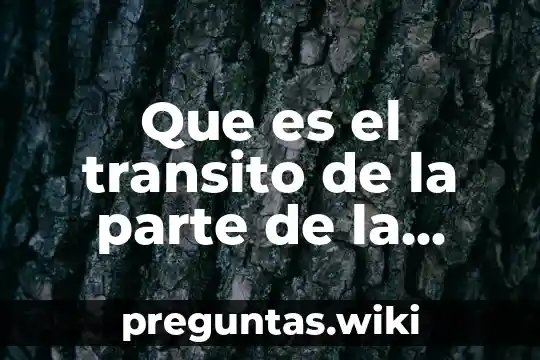 Que es el transito de la parte de la muerte