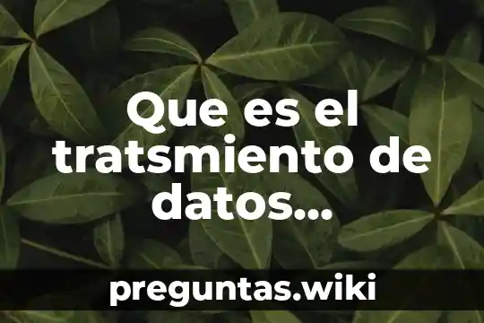 Que es el tratsmiento de datos personales