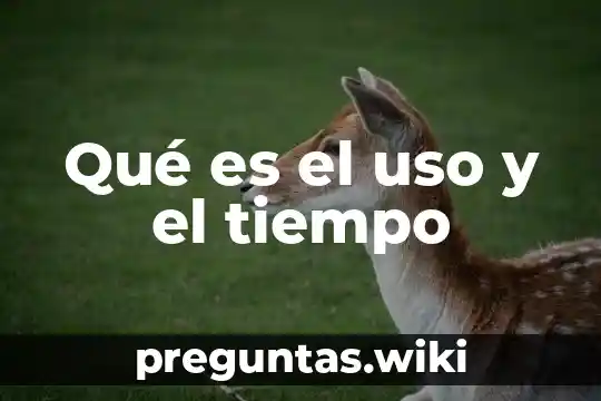 Qué es el uso y el tiempo