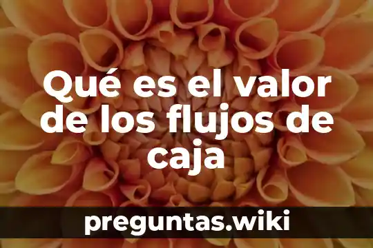 Qué es el valor de los flujos de caja
