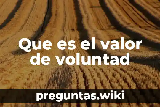 Que es el valor de voluntad
