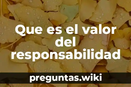 Que es el valor del responsabilidad