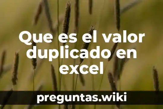 Que es el valor duplicado en excel