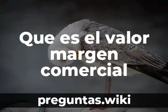 Que es el valor margen comercial