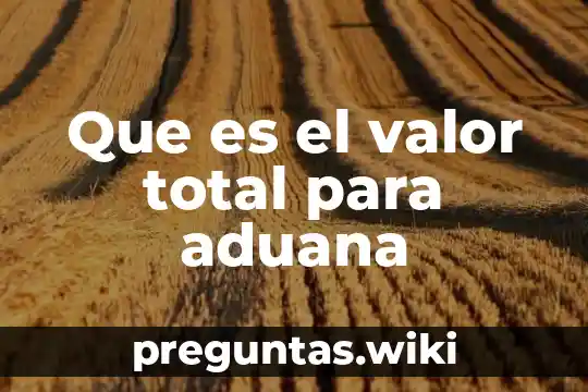 Que es el valor total para aduana
