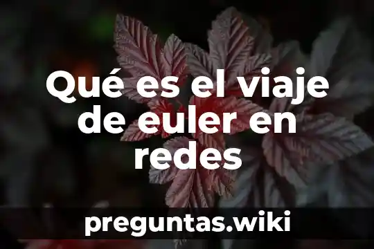 Qué es el viaje de euler en redes