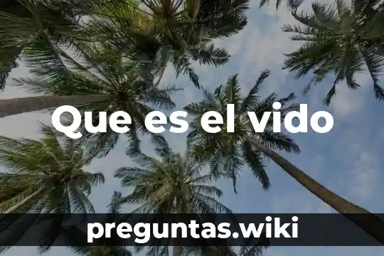 Que es el vido