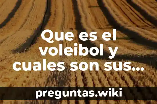 Que es el voleibol y cuales son sus reglas