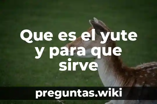 Que es el yute y para que sirve