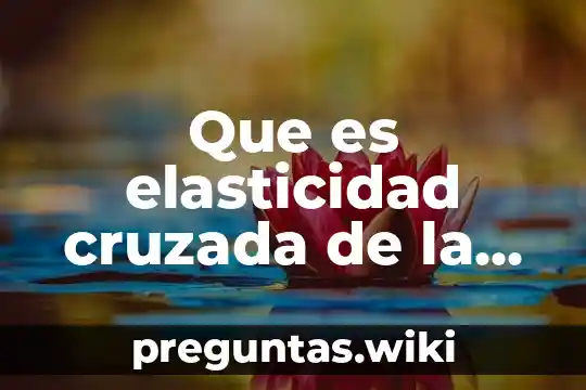 Que es elasticidad cruzada de la demanda en economia