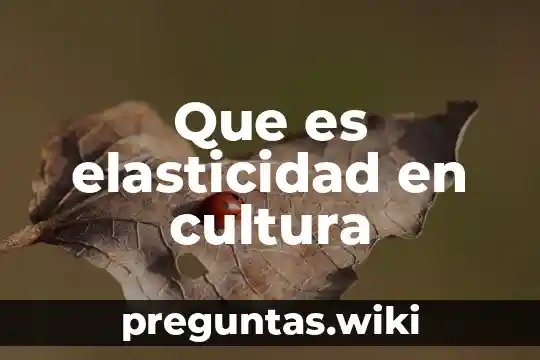 Que es elasticidad en cultura