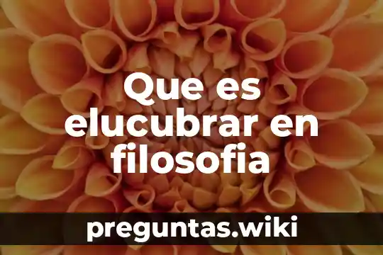 Que es elucubrar en filosofia