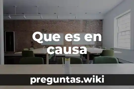 Que es en causa