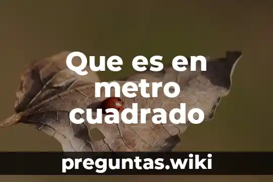 Que es en metro cuadrado