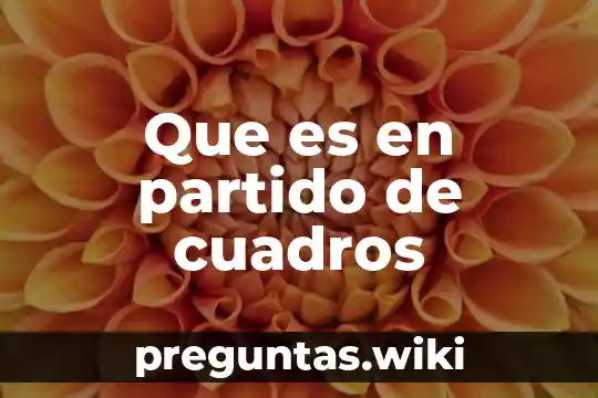 Que es en partido de cuadros