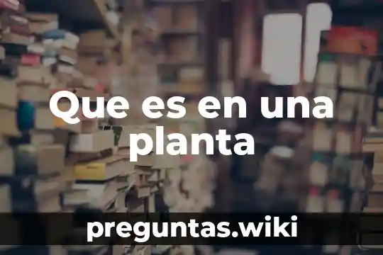 Que es en una planta
