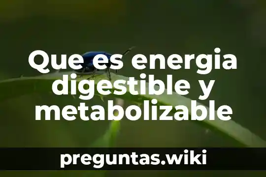 Que es energia digestible y metabolizable