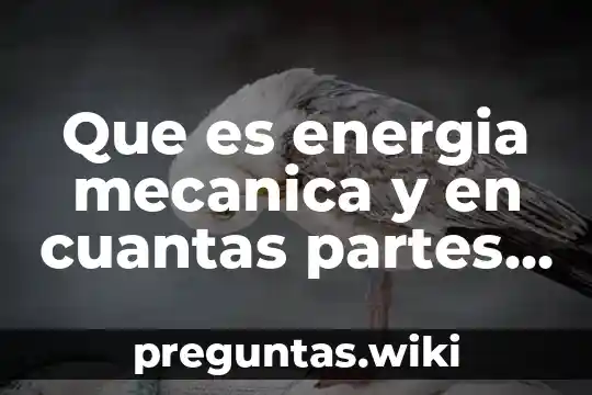 Que es energia mecanica y en cuantas partes se divide