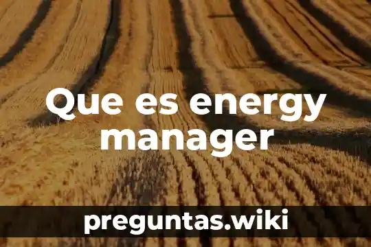 Que es energy manager