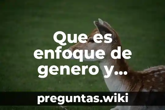 Que es enfoque de genero y generacional