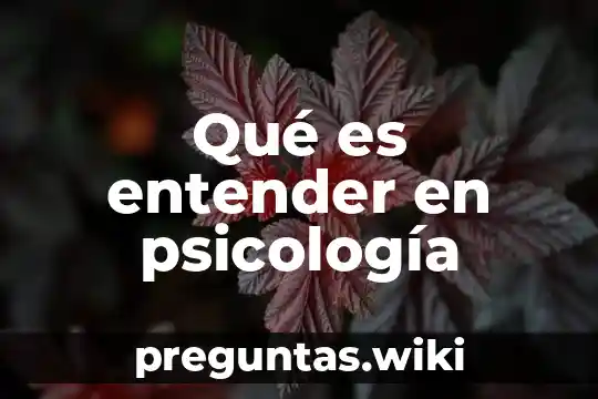 Qué es entender en psicología