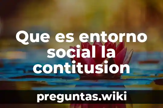 Que es entorno social la contitusion