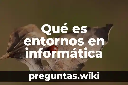 Qué es entornos en informática