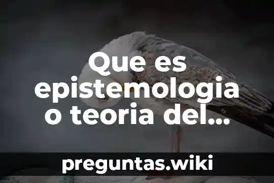 Que es epistemologia o teoria del conocimiento