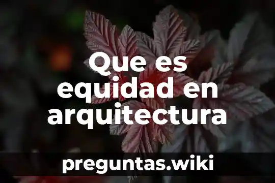 Que es equidad en arquitectura