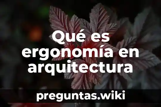 Qué es ergonomía en arquitectura