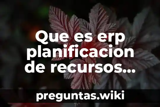 Que es erp planificacion de recursos empresariales ejemplos
