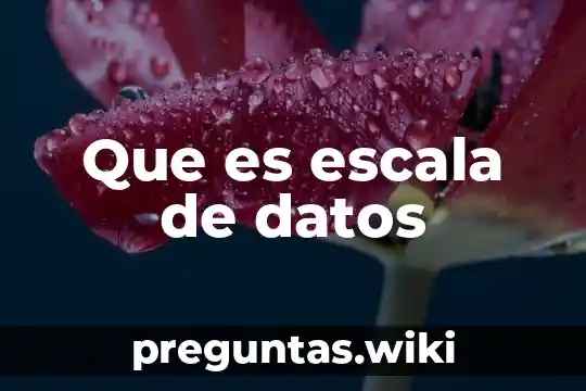 Que es escala de datos