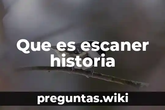 Que es escaner historia