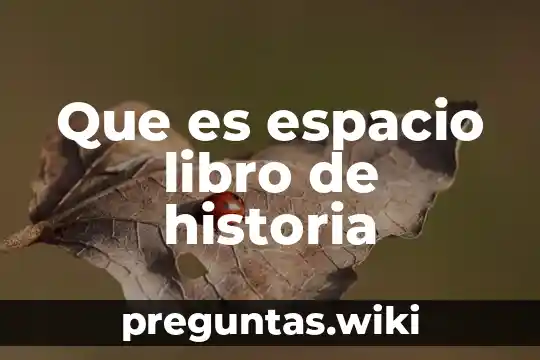 Que es espacio libro de historia